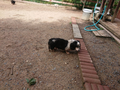 f:id:roukenhome-ann:20190529144935j:plain