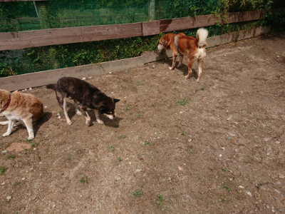 f:id:roukenhome-ann:20190529144941j:plain