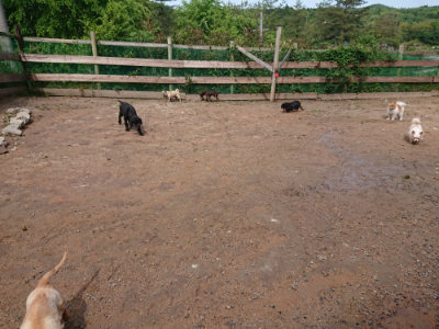f:id:roukenhome-ann:20190529144946j:plain