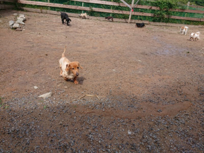 f:id:roukenhome-ann:20190529145016j:plain