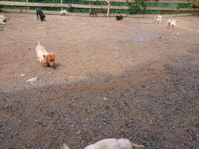 f:id:roukenhome-ann:20190529145046j:plain