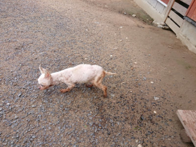 f:id:roukenhome-ann:20190529145139j:plain