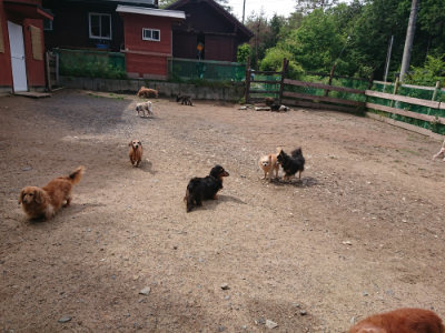 f:id:roukenhome-ann:20190529145311j:plain