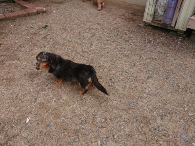 f:id:roukenhome-ann:20190529145526j:plain
