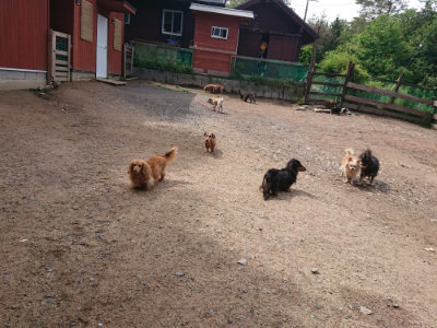 f:id:roukenhome-ann:20190529145546j:plain