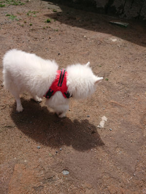 f:id:roukenhome-ann:20190529145558j:plain