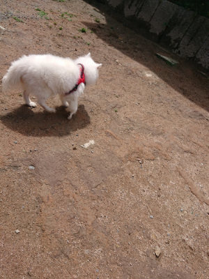 f:id:roukenhome-ann:20190529145602j:plain
