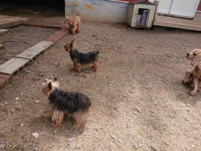 f:id:roukenhome-ann:20190529145632j:plain