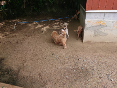 f:id:roukenhome-ann:20190529145643j:plain
