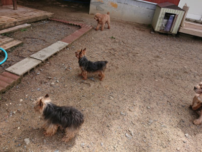 f:id:roukenhome-ann:20190529145658j:plain