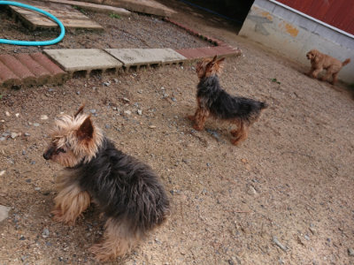 f:id:roukenhome-ann:20190529145725j:plain