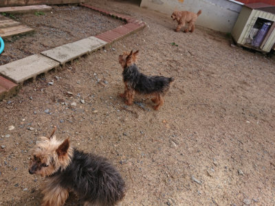 f:id:roukenhome-ann:20190529145731j:plain
