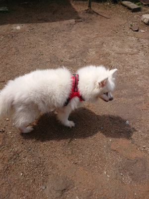 f:id:roukenhome-ann:20190529145742j:plain