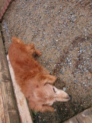 f:id:roukenhome-ann:20190529145758j:plain