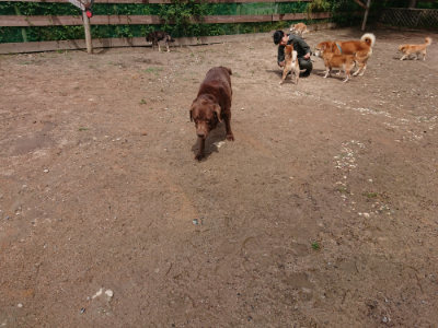 f:id:roukenhome-ann:20190529145806j:plain