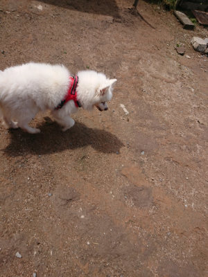 f:id:roukenhome-ann:20190529145813j:plain