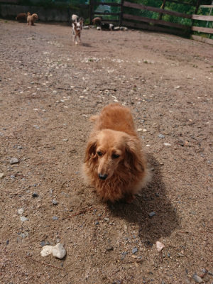 f:id:roukenhome-ann:20190529145822j:plain