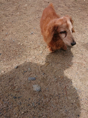 f:id:roukenhome-ann:20190529145828j:plain