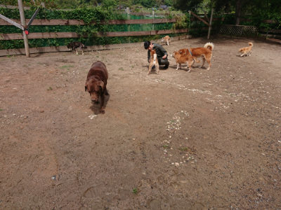 f:id:roukenhome-ann:20190529145839j:plain