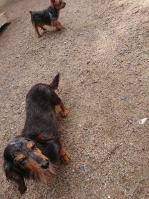 f:id:roukenhome-ann:20190529145849j:plain