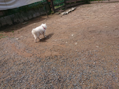 f:id:roukenhome-ann:20190529145855j:plain