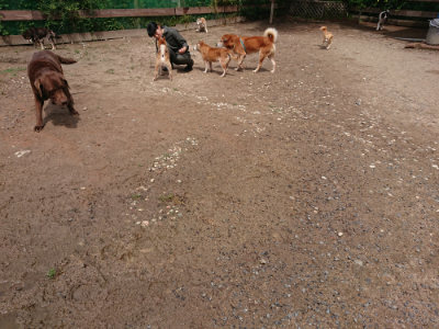 f:id:roukenhome-ann:20190529145901j:plain