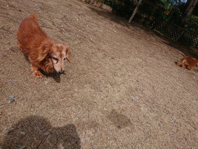 f:id:roukenhome-ann:20190529145907j:plain