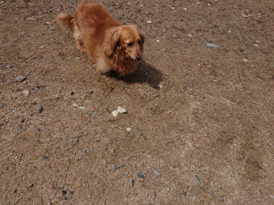 f:id:roukenhome-ann:20190529145930j:plain