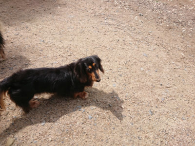 f:id:roukenhome-ann:20190529150540j:plain