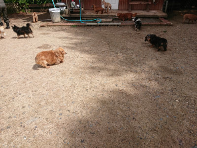 f:id:roukenhome-ann:20190529150545j:plain