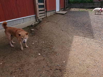 f:id:roukenhome-ann:20190529150600j:plain