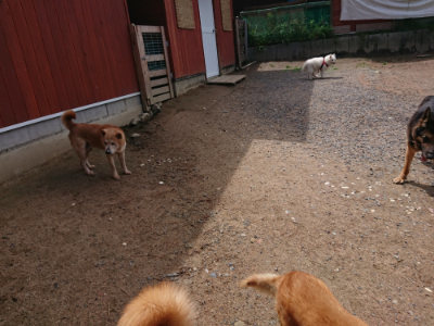f:id:roukenhome-ann:20190529150618j:plain