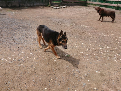f:id:roukenhome-ann:20190529150623j:plain