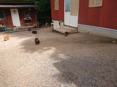f:id:roukenhome-ann:20190529150627j:plain