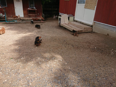 f:id:roukenhome-ann:20190529150634j:plain