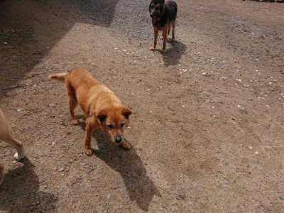 f:id:roukenhome-ann:20190529150646j:plain