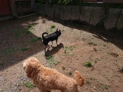f:id:roukenhome-ann:20190529150703j:plain