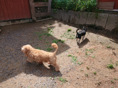 f:id:roukenhome-ann:20190529150711j:plain