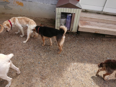 f:id:roukenhome-ann:20190529150753j:plain