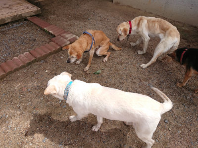 f:id:roukenhome-ann:20190529150823j:plain
