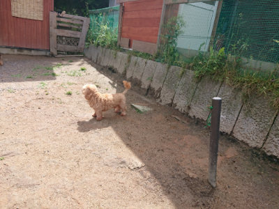 f:id:roukenhome-ann:20190529150829j:plain