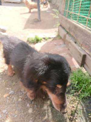 f:id:roukenhome-ann:20190529150858j:plain