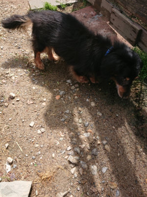 f:id:roukenhome-ann:20190529150924j:plain