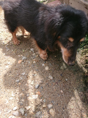 f:id:roukenhome-ann:20190529150929j:plain