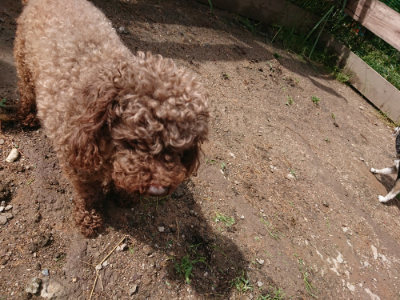 f:id:roukenhome-ann:20190529150945j:plain