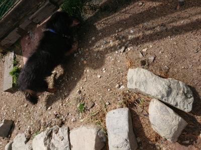 f:id:roukenhome-ann:20190529150951j:plain