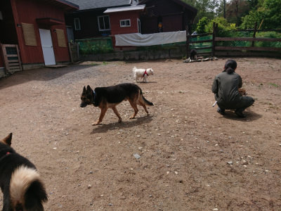f:id:roukenhome-ann:20190529170035j:plain