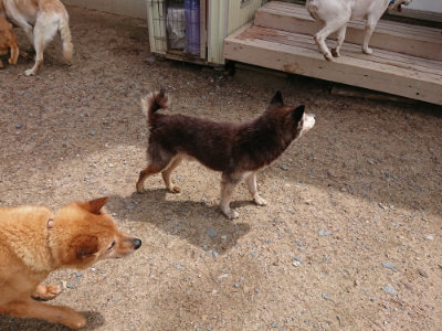 f:id:roukenhome-ann:20190529170425j:plain