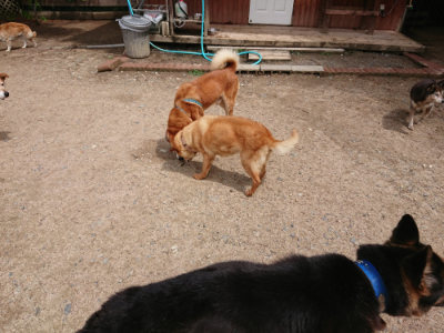 f:id:roukenhome-ann:20190529170527j:plain