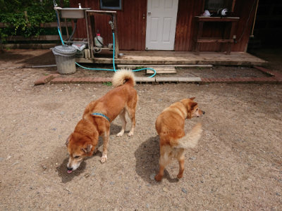 f:id:roukenhome-ann:20190529170540j:plain